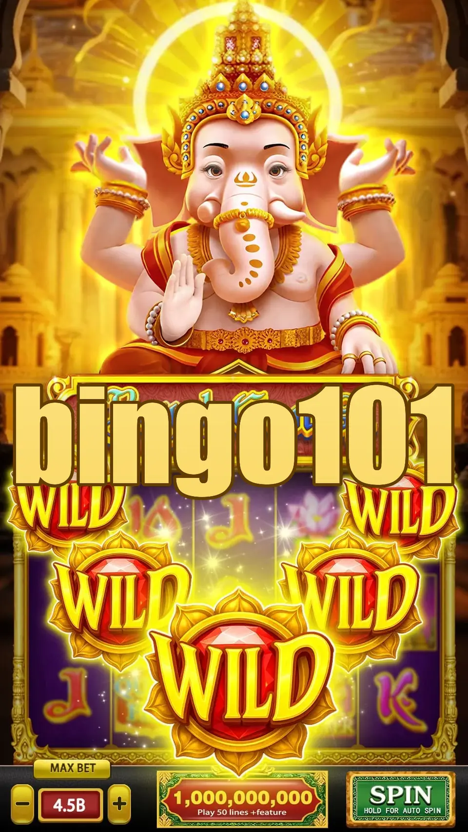 bingo101 Preview - Resmi Unduh